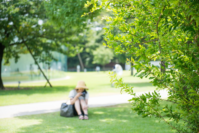 木陰の紫外線対策