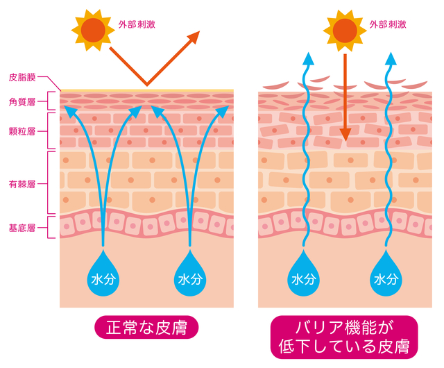 敏感肌の化粧品