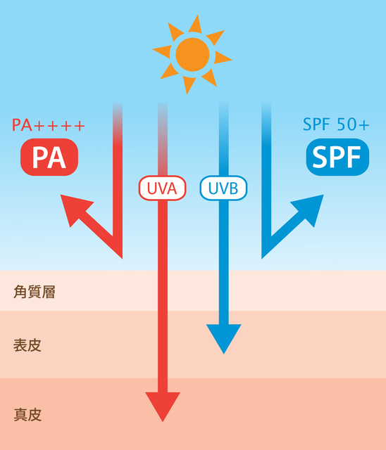 紫外線対策