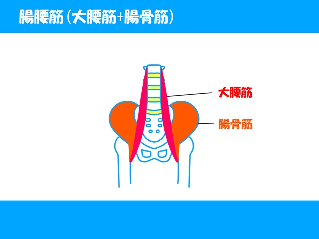 水玉模様