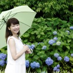 梅雨の傘