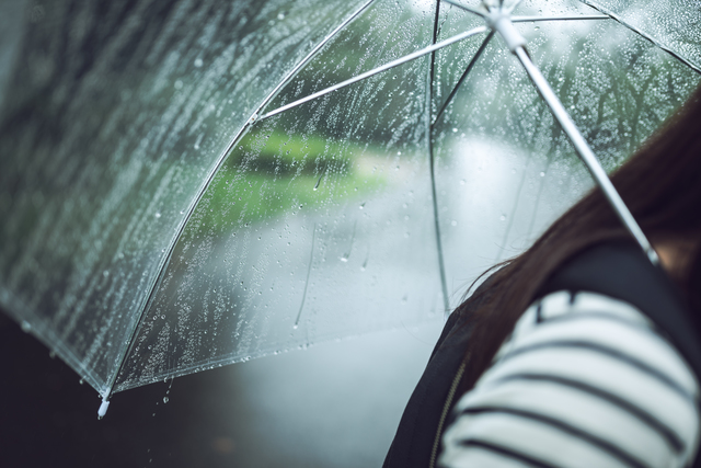 梅雨の傘