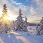 雪による日焼けに要注意！冬も欠かせない美肌のための日焼け対策