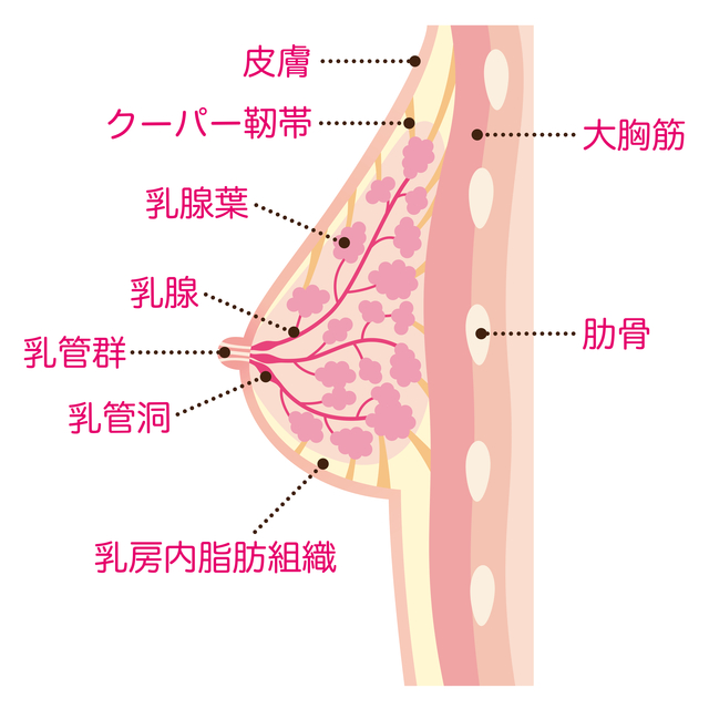 下着