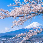 満開の桜でキレイになろう！都内の穴場「花見スポット」3選