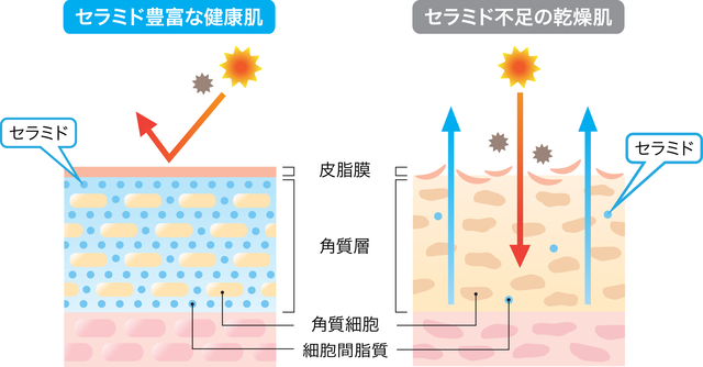 麻布十番塩澤式